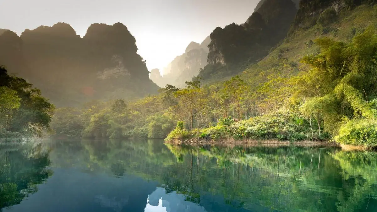 高端智能稳定性